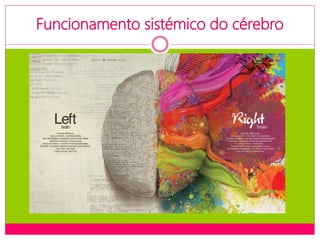 Funcionamento sistémico do cérebro
 