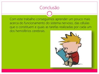 Conclusão
Com este trabalho conseguimos aprender um pouco mais
acerca do funcionamento do sistema nervoso, das células
que o constituem e quais as tarefas realizadas por cada um
dos hemisférios cerebrais.
 