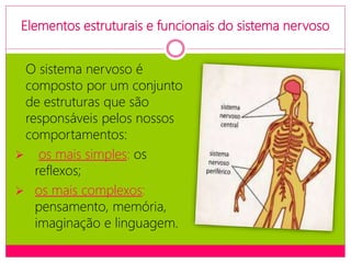 Elementos estruturais e funcionais do sistema nervoso
O sistema nervoso é
composto por um conjunto
de estruturas que são
responsáveis pelos nossos
comportamentos:
 os mais simples: os
reflexos;
 os mais complexos:
pensamento, memória,
imaginação e linguagem.
 