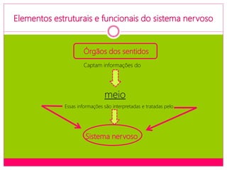 Elementos estruturais e funcionais do sistema nervoso
meio
Órgãos dos sentidos
Captam informações do
Essas informações são interpretadas e tratadas pelo
Sistema nervoso
 