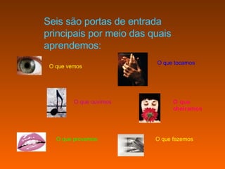 Seis são portas de entrada principais por meio das quais aprendemos:   O que vemos O que ouvimos O que provamos O que tocamos O que cheiramos   O que fazemos 