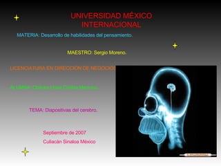 UNIVERSIDAD MÉXICO INTERNACIONAL MATERIA: Desarrollo de habilidades del pensamiento. MAESTRO: Sergio Moreno.  LICENCIATURA EN DIRECCIÓN DE NEGOCIOS ALUMNA: Chávez Urías Cinthia Maricruz. TEMA: Diapositivas del cerebro. Septiembre de 2007 Culiacán Sinaloa México 