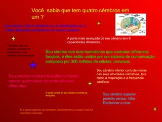 Você  sabia que tem quatro cérebros em um ? Isto mesmo. São 4 cérebros en um distribuidos en 3 níveis diferentes iniciando-se no tronco cerebral. Seu cérebro tem dois hemisferios que controlan diferentes funções, e êles estão unidos por um sistema de comunicação composto por 300 milhões de células  nervosas. Seu cérebro também trabalha com pelo menos quatro tipos de onda elétricas diferentes. A parte mais avançada do seu cérebro tem 6 capacidades diferentes. Também tem um cérebro consciente consciente e um cerebro subconsciente Seu cérebro inferior controla muitas das suas atividades instintivas, tais  como a respiração e a freqüência cardíaca. A parte central do seu cérebro controla as emoções. Seu cérebro   superior permite pensar, falar. Raciocinar e criar. E a parte superior do cerebelo, desempenha un papel vital na memória muscular. 