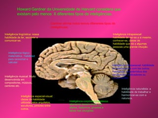 Howard Gardner da Universidade de Harvard considera que existam pelo menos  8 diferentes tipos de inteligências.   Gardner afirma todos temos diferentes tipos de inteligências. Inteligência lingüística: nossa habilidade de ler, escrever e comunicar-se. Inteligência lógico- matemática : habilidad para raciocinar e calcular Inteligência musical: Muito desenvolvida em compositores, músicos, cantores etc.  Inteligência espacial-visual: classe de habilidade utilizada pelos arquitetos, escultores, pintores entre outros. Inteligência corpóreo-cinestésica: altamente desenvolvida nos atletas, bailarinos, ginastas e talvez nos cirurgiões. Inteligência interpessoal: habilidade de relacionar-se com los outros. Habilidade  característica dos vendedores, motivadores ou comerciantes.  Inteligência intrapessoal: habilidade de ver-se a si mesmo, conhecer-se, classe de habilidade que dá a algumas pessoas uma grande intuição.  Inteligência naturalista: a habilidade de trabalhar e harmonizar-se com a natureza. 