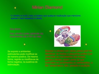 Mirian Diamond O cérebro é muito mais complexo que qualquer explicação que mencione apenas o lado esquerdo e direito.  Seu lema:  Seu cérebro pode aprender do nascimento até o fim da vida. Separar o cérebro em várias partes permite identificar as muitas e pequenas partes que controlam os movimentos dos braços, pernas e dedos, assim como as que controlam os sentimentos os sentimentos, a dor, temperatura, tato, pressão e audição. Se exposto a ambientes estimulantes pode modificar-se de maneira positiva. Da mesma forma, regride ou modifica-se de forma negativa, na ausência de estimulação. 