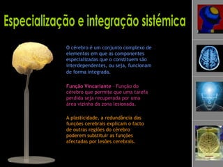 Especialização e integração sistémica O cérebro é um conjunto complexo de elementos em que as componentes especializadas que o constituem são interdependentes, ou seja, funcionam de forma integrada.   Função Vincariante  – Função do cérebro que permite que uma tarefa perdida seja recuperada por uma área vizinha da zona lesionada.  A plasticidade, a redundância das funções cerebrais explicam o facto de outras regiões do cérebro poderem substituir as funções afectadas por lesões cerebrais. 