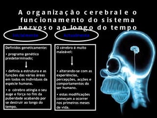 A organização cerebral e o funcionamento do sistema nervoso ao longo do tempo Inicialmente Definidos gene ticamente: programa genético predeterminado;  definia a estrutura e as funções das várias áreas em todos os indivíduos da espécie humana. o  cérebro atingia o seu auge e força no fim da puberdade acabando por se destruir ao longo do tempo. Actualmente O cérebro  é  muito male á vel: alterando-se com as experiências, percepções, acções e comportamentos do ser humano. estas modificações  começam a ocorrer nos primeiros meses de vida.   