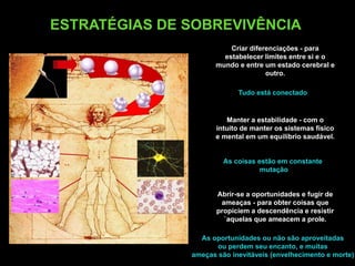 ESTRATÉGIAS DE SOBREVIVÊNCIA
                         Criar diferenciações - para
                       estabelecer limites entre si e o
                     mundo e entre um estado cerebral e
                                    outro.

                            Tudo está conectado


                         Manter a estabilidade - com o
                      intuito de manter os sistemas físico
                      e mental em um equilíbrio saudável.


                        As coisas estão em constante
                                   mutação


                      Abrir-se a oportunidades e fugir de
                       ameaças - para obter coisas que
                      propiciem a descendência e resistir
                        `aquelas que ameacem a prole.

                 As oportunidades ou não são aproveitadas
                     ou perdem seu encanto, e muitas
               ameças são inevitáveis (envelhecimento e morte)
 