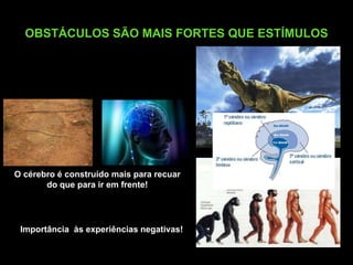 OBSTÁCULOS SÃO MAIS FORTES QUE ESTÍMULOS




O cérebro é construído mais para recuar
       do que para ir em frente!




 Importância às experiências negativas!
 