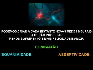 PODEMOS CRIAR A CADA INSTANTE NOVAS REDES NEURAIS
                QUE IRÃO PROPICIAR
   MENOS SOFRIMENTO E MAIS FELICIDADE E AMOR.

                  COMPAIXÃO
EQUANIMIDADE                  ASSERTIVIDADE
 