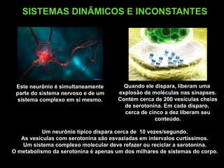 SISTEMAS DINÂMICOS E INCONSTANTES




 Este neurônio é simultaneamente        Quando ele dispara, liberam uma
 parte do sistema nervoso e de um     explosão de moléculas nas sinapses.
 sistema complexo em si mesmo.        Contém cerca de 200 vesículas cheias
                                        de serotonina. Em cada disparo,
                                        cerca de cinco a dez liberam seu
                                                   conteúdo.

           Um neurônio típico dispara cerca de 10 vezes/segundo.
   As vesículas com serotonina são esvaziadas em intervalos curtíssimos.
   Um sistema complexo molecular deve refazer ou reciclar a serotonina.
O metabolismo da serotonina é apenas um dos milhares de sistemas do corpo.
 