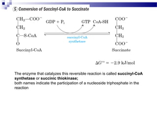 The enzyme that catalyzes this reversible reaction is called succinyl-CoA
synthetase or succinic thiokinase;
both names indicate the participation of a nucleoside triphosphate in the
reaction

 