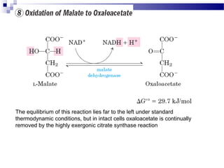 The equilibrium of this reaction lies far to the left under standard
thermodynamic conditions, but in intact cells oxaloacetate is continually
removed by the highly exergonic citrate synthase reaction

 