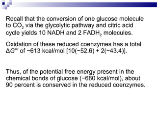 Recall that the conversion of one glucose molecule
to CO2 via the glycolytic pathway and citric acid
cycle yields 10 NADH and 2 FADH2 molecules.
Oxidation of these reduced coenzymes has a total
ΔG°′ of −613 kcal/mol [10(−52.6) + 2(−43.4)].
Thus, of the potential free energy present in the
chemical bonds of glucose (−680 kcal/mol), about
90 percent is conserved in the reduced coenzymes.

 