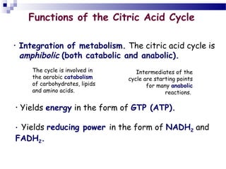 Functions of the Citric Acid Cycle
•

Integration of metabolism. The citric acid cycle is
amphibolic (both catabolic and anabolic).
The cycle is involved in
the aerobic catabolism
of carbohydrates, lipids
and amino acids.

•

Intermediates of the
cycle are starting points
for many anabolic
reactions.

Yields energy in the form of GTP (ATP).

Yields reducing power in the form of NADH2 and
FADH2.
•

 