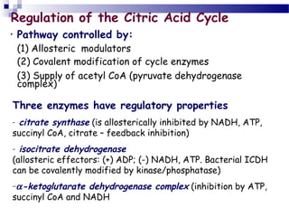 Regulation of the Citric Acid Cycle
•

Pathway controlled by:

(1) Allosteric modulators
(2) Covalent modification of cycle enzymes
(3) Supply of acetyl CoA (pyruvate dehydrogenase
complex)

Three enzymes have regulatory properties
citrate synthase (is allosterically inhibited by NADH, ATP,
succinyl CoA, citrate – feedback inhibition)
-

isocitrate dehydrogenase
(allosteric effectors: (+) ADP; (-) NADH, ATP. Bacterial ICDH
can be covalently modified by kinase/phosphatase)
-

dehydrogenase complex (inhibition by ATP,
succinyl CoA and NADH
−α-ketoglutarate

 