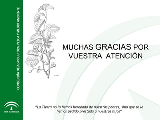 MUCHAS GRACIAS POR
                 VUESTRA ATENCIÓN




“La Tierra no la hemos heredado de nuestros padres, sino que se la
             hemos pedido prestada a nuestros hijos”
 