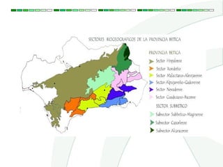 BIOGEOGRAFÍA
 