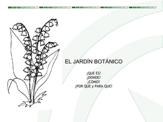 EL JARDÍN BOTÁNICO

         ¿QUE ES?
         ¿DONDE?
          ¿COMO?
   ¿POR QUE y PARA QUE?
 