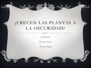 ¿CRECEN LAS PLANTAS A
    LA OSCURIDAD?
          Integrantes:
        Daniela Farias.
        Antonia Rojas.
 