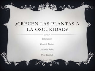 ¿CRECEN LAS PLANTAS A
    LA OSCURIDAD?
          Integrantes:

        Daniela Farias.

        Antonia Rojas.

        Diva Rudloff.

       Viviana Villegas.
 