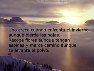 ¿Sufriste mucho en este periodo? ... Fue aprendizaje Uno crece cuando enfrenta el invierno aunque pierda las hojas. Recoge flores aunque tengan  espinas y marca camino aunque  se levante el polvo. 