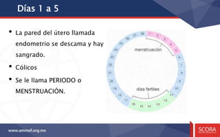 Días 1 a 5
• La pared del útero llamada
endometrio se descama y hay
sangrado.
• Cólicos
• Se le llama PERIODO o
MENSTRUACIÓN.
 