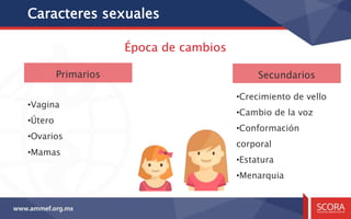 Caracteres sexuales
•Vagina
•Útero
•Ovarios
•Mamas
•Crecimiento de vello
•Cambio de la voz
•Conformación
corporal
•Estatura
•Menarquia
Primarios Secundarios
Época de cambios
 