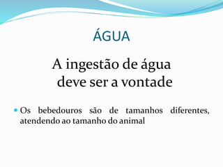 ÁGUA
A ingestão de água
deve ser a vontade
 Os bebedouros são de tamanhos diferentes,
atendendo ao tamanho do animal
 