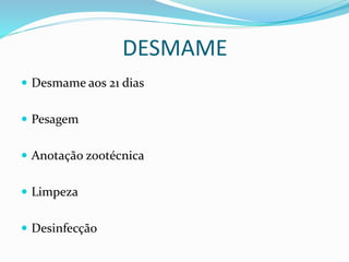 DESMAME
 Desmame aos 21 dias
 Pesagem
 Anotação zootécnica
 Limpeza
 Desinfecção
 