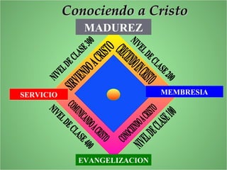 MADUREZ
SERVICIO
EVANGELIZACION
MEMBRESIA
Conociendo a CristoConociendo a Cristo
 