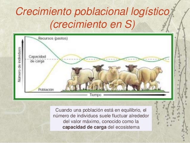 Crecimento poblacional