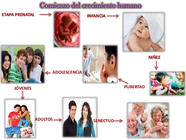Crecimiento
