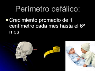 Perímetro cefálico: Crecimiento promedio de 1 centímetro cada mes hasta el 6º mes  