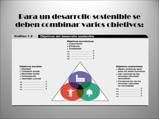 Para un desarrollo sostenible se deben combinar varios objetivos: 
