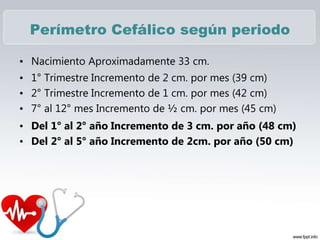 Perímetro Cefálico según periodo
• Nacimiento Aproximadamente 33 cm.
• 1° Trimestre Incremento de 2 cm. por mes (39 cm)
• 2° Trimestre Incremento de 1 cm. por mes (42 cm)
• 7° al 12° mes Incremento de ½ cm. por mes (45 cm)
• Del 1° al 2° año Incremento de 3 cm. por año (48 cm)
• Del 2° al 5° año Incremento de 2cm. por año (50 cm)
 