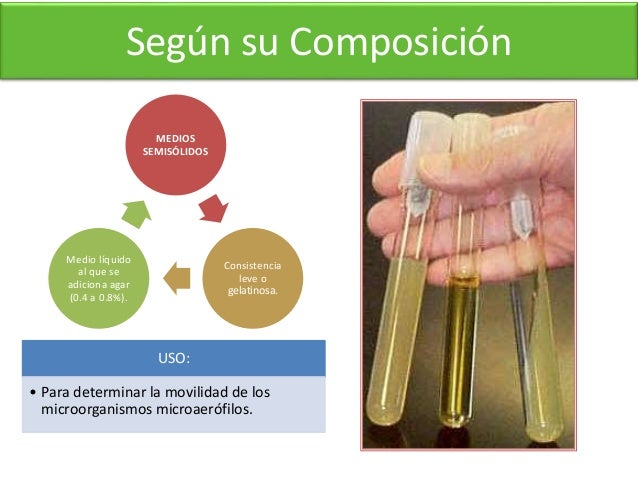 Mediso de cultivo & Crecimiento bacteriano