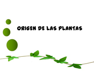 ORIGEN DE LAS PLANTAS 