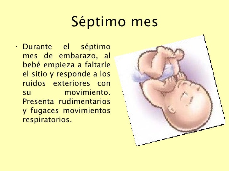 Crecimiento Del Bebé Mes A Mes