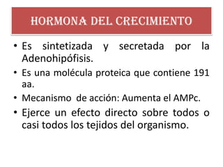 Hormona del crecimiento
• Es sintetizada y secretada por la
Adenohipófisis.
• Es una molécula proteica que contiene 191
aa.
• Mecanismo de acción: Aumenta el AMPc.
• Ejerce un efecto directo sobre todos o
casi todos los tejidos del organismo.
 