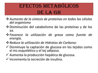 Efectos metabólicos
de la GH
Aumento de la síntesis de proteínas en todas las células
del organismo
Disminución del catabolismo de las proteínas y de los
aa.
Favorece la utilización de grasa como fuente de
energía.
Reduce la utilización de Hidratos de Carbono:
 Disminuye la captación de glucosa en los tejidos como
el ms esquelético y el tej adiposo.
 Aumenta la producción hepática de glucosa.
 Incrementa la secreción de insulina.
 