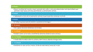 4 meses
•Mayor movilidad del mentón, mayor extensión del cuello, y músculos abdominales más desarrollados que
permiten mejor apoyo del tórax permitiendo su alimentación vertical.
6 meses
• Sedestación e inicio de la masticación vertical, lo que le permite comenzar con la AC.
7 meses
•El reflejo nauseoso para de anterior a posterior de la lengua
8- 8 meses
•Son capaces de tomar alimentos con la mano
9 - 11 meses
•Pueden comer con la mano, transfiriendo alimentos desde la mano a la boca
10- 10 meses
• Puede sellar los labios sobre la cuchara y abrir la boca, dejando la lengua atrás.
11 -12 meses
•Sostienen un vaso con las 2 manos. Al año de vida intenta comer por sí solo.
 