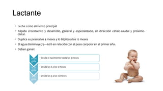 Lactante
• Leche como alimento principal
• Rápido crecimiento y desarrollo, general y especializado, en dirección cefalo-caudal y próximo-
distal.
• Duplica su peso a los 4 meses y lo triplica a los 12 meses
• El agua disminuye 75—60% en relación con el peso corporal en el primer año.
• Deben ganar:
20-30
g/día
•Desde el nacimiento hasta los 3 meses
15-22
g/día
•Desde los 3 a los 9 meses
6-11
g/día
•Desde los 9 a los 12 meses
 