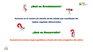 ¿Qué es Crecimiento?
Aumento en el número y/o tamaño de las células que constituyen los
tejidos vegetales diferenciados
C y O
Compartiendo conocimientos
¿Qué es Desarrollo?
Sucesión de eventos órgano genéticos a través del ciclo ontogénico del cultivo
 