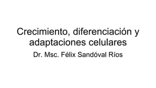 Crecimiento, diferenciación y adaptaciones celulares Dr. Msc. Félix Sandóval Ríos 