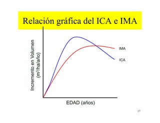 17
Relación gráfica del ICA e IMA
ICA
IMA
EDAD (años)
IncrementoenVolumen
(m3/ha/año)
 