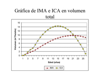 32
Gráfica de IMA e ICA en volumen
total
0
2
4
6
8
10
12
14
16
1 3 5 7 9 11 13 15 17 19 21 23 25
Edad (años)
Volumen(m3/ha/año)
IMA ICA
 