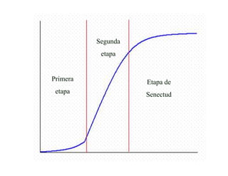 9
Primera
etapa
Segunda
etapa
Etapa de
Senectud
 