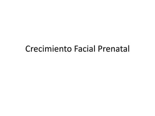 Crecimiento Facial Prenatal
 