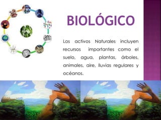 Los activos Naturales incluyen
recursos importantes como el
suelo, agua, plantas, árboles,
animales, aire, lluvias regulares y
océanos.
 